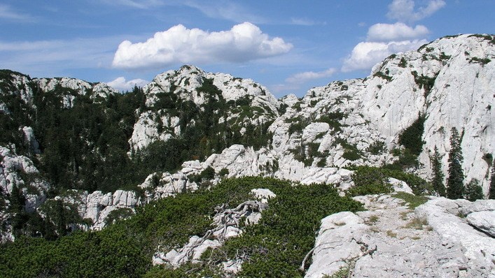 Slika /NASLOVNE FOTOGRAFIJE I KORIŠTENI LOGOTIPOVI/content/54e1e11572ca7.JPG